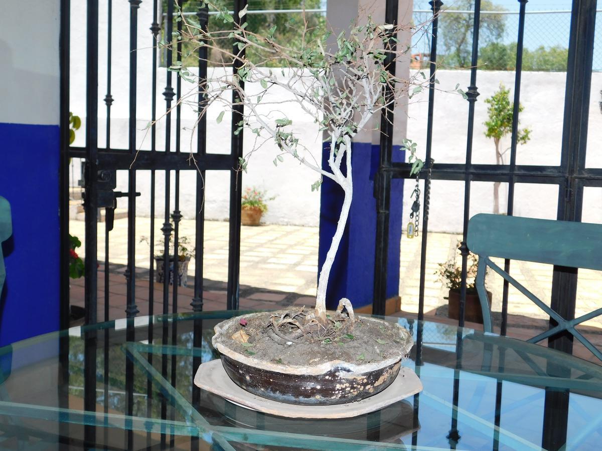 Casa Erizo 39 (Adults Only) 호텔 과나후아토 외부 사진